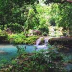 Reserva Natural Montes de Oca