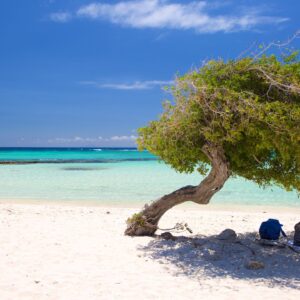 Aruba: ¿Por qué elegir a la isla cómo su próximo destino?