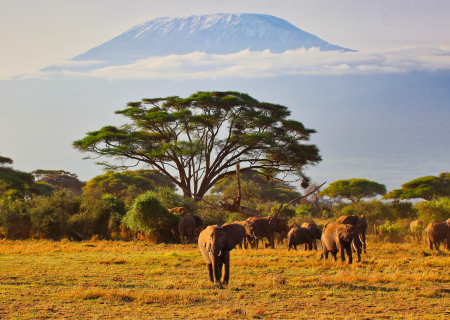 Africa