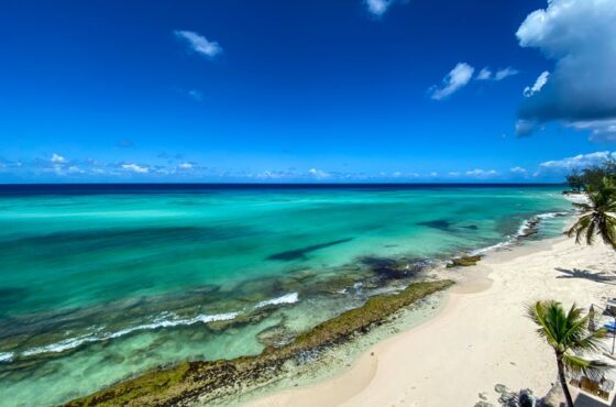 Connect Barbados: El Renacer del Turismo Caribeño a Través de la Cultura