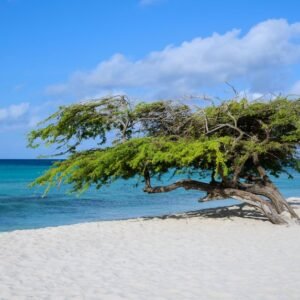 Secrets Baby Beach Aruba: Expansión y nuevas oportunidades para viajeros